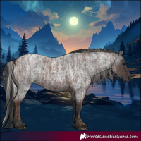 Horse Color:Silver Blue Roan  and Blue Roan Rabicano 