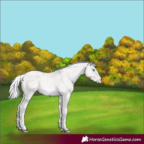 Horse Color:Platinum Silver Perlino Dun Tobiano Varnish Rabicano 
