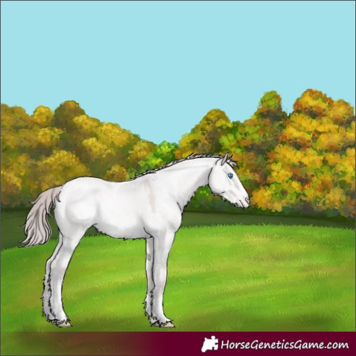 Horse Color:Platinum Perlino Dun Sabino Tobiano Varnish Rabicano 
