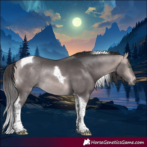 Horse Color:Platinum Buckskin Tobiano Rabicano 