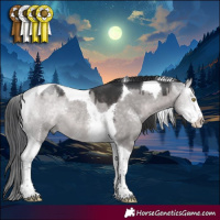 Horse Color:Platinum Brown Dun Sabino Tobiano Rabicano