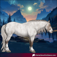 Horse Color:Silver Grullo Roan Sabino Rabicano