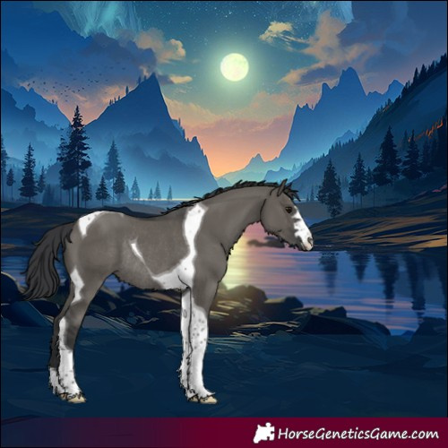 Horse Color:Grullo Tobiano Rabicano 