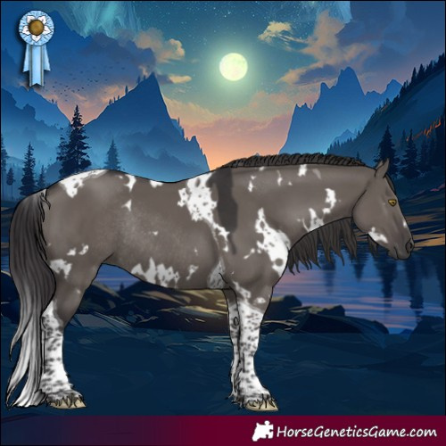 Horse Color:White Spotted Smoky Grullo Tobiano Rabicano 