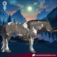 Horse Color:White Spotted Smoky Grullo Tobiano Rabicano