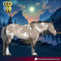 Horse Color:Powder White White Spotted Brown Dun