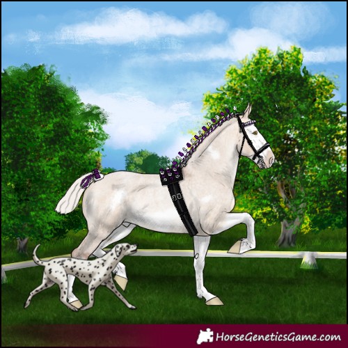 Horse Color:Silver Bay Roan Dun Splash Frame 