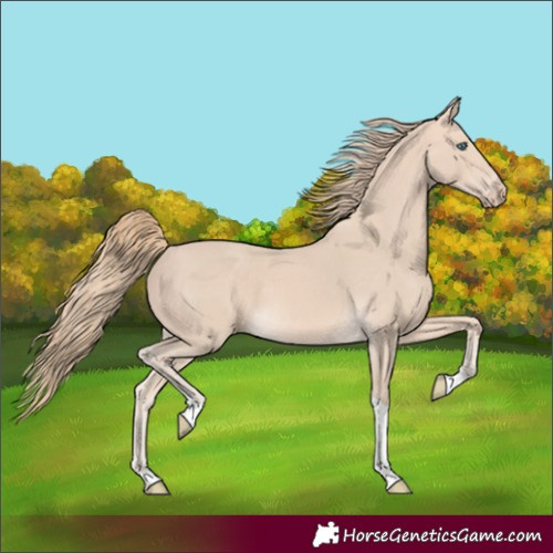 Horse Color:Perlino Tobiano 