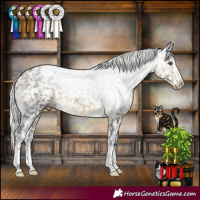 Horse Color:White Spotted Silver Buckskin Appaloosa