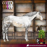 Horse Color:White Spotted Silver Buckskin Appaloosa 