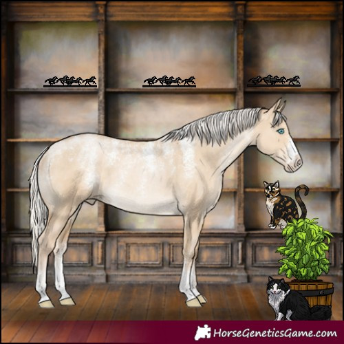 Horse Color:Powder White Silver Smoky Grullo Pearl Rabicano 