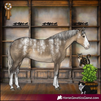 Horse Color:Powder White Silver Smoky Grullo Sabino
