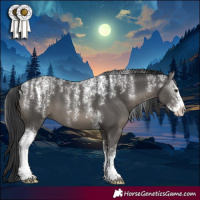 Horse Color:Powder White Black Sabino