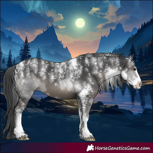 Horse Color:Powder White Black Sabino 