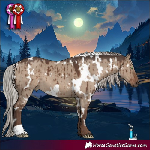 Horse Color:White Spotted Silver Grullo Brindle 
