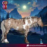 Horse Color:White Spotted Silver Grullo Brindle