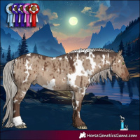 Horse Color:White Spotted Silver Grullo Brindle 