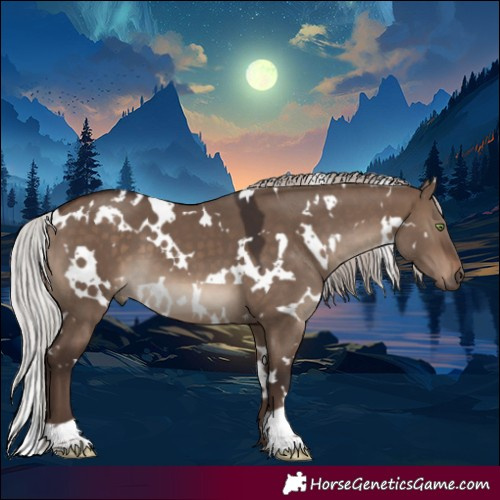 Horse Color:White Spotted Silver Brown Dun 