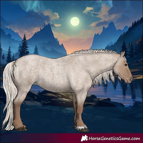 Horse Color:Silver Grullo Roan Appaloosa Rabicano 