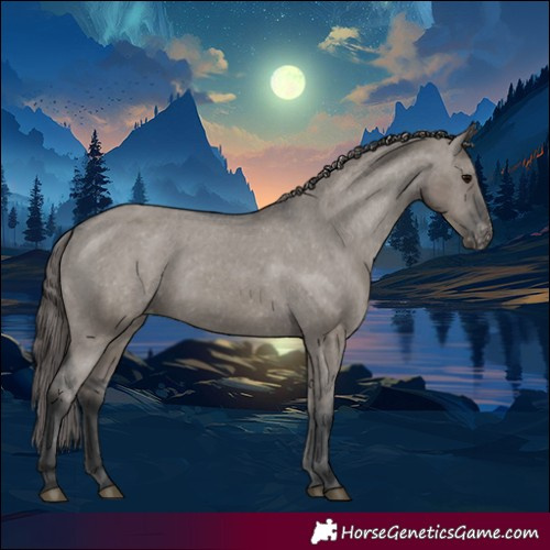 Horse Color:Grullo Varnish Rabicano 