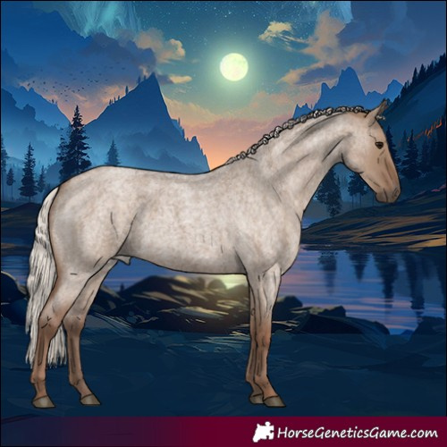 Horse Color:Silver Grullo Roan 