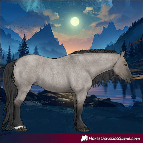 Horse Color:Grullo Roan 
