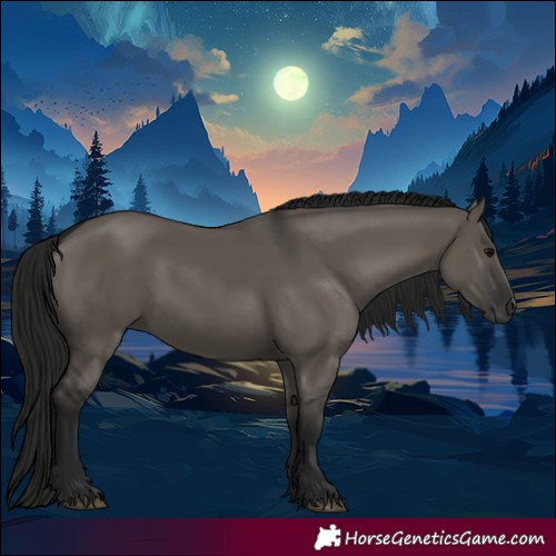 Horse Color:Gray Grullo 