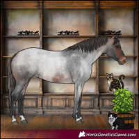 Horse Color:Brown Roan Varnish 