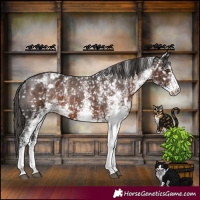 Horse Color:White Spotted Liver Chestnut Appaloosa 