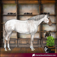 Horse Color:White Spotted Chocolate Palomino Roan Snowflake VarnishRabicano 