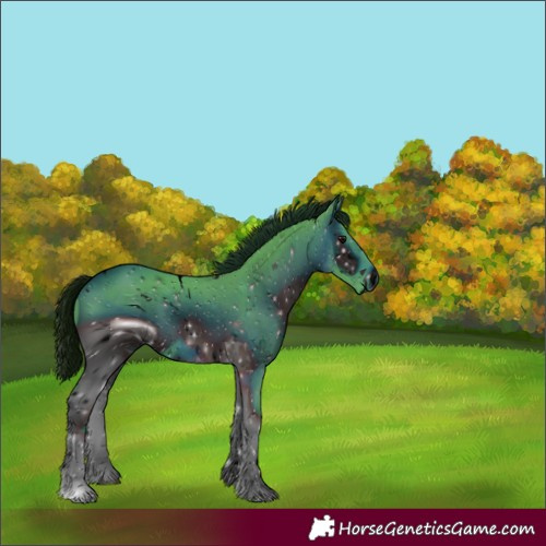 Horse Color:ERROR: UNKNOWN ANOMALY