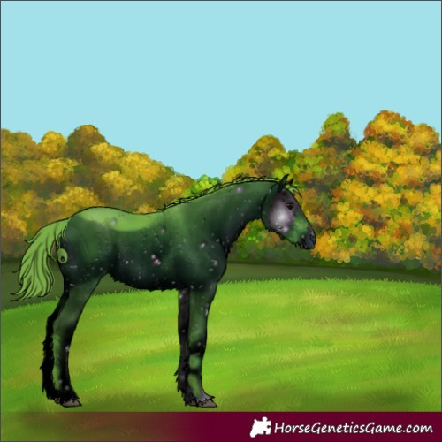 Horse Color:ERROR: UNKNOWN ANOMALY