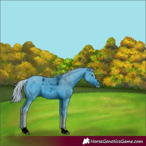 Horse Color:ERROR: UNKNOWN ANOMALY