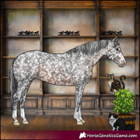 Horse Color:Brown Snowflake Varnish