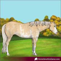 Horse Color:Silver Sable Cream Champagne Sabino Rabicano 