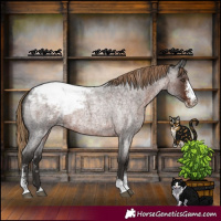 Horse Color:Liver Red Roan Sabino Appaloosa 