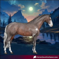 Horse Color:Silver Brown Sabino Varnish 