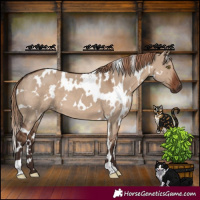Horse Color:White Spotted Liver Red Dun 