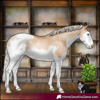Horse Color:Chocolate Palomino Pearl Splash Varnish 
