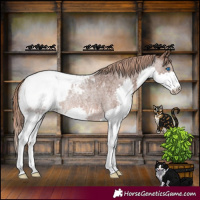 Horse Color:Liver Red Roan Splash Snowcap Rabicano 