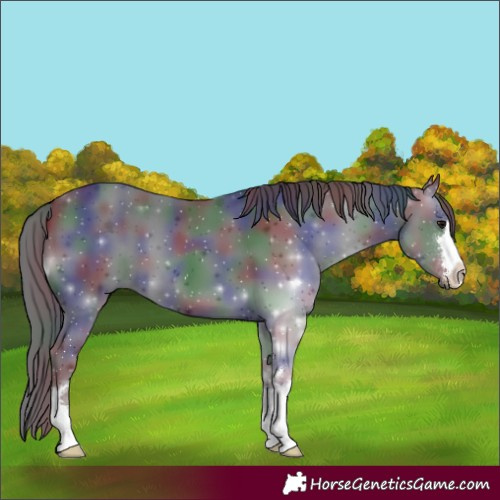 Horse Color:Nacre Black 
