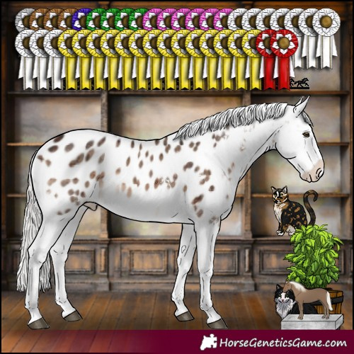 Horse Color:White Spotted Silver Brown Dun Mushroom Tobiano Near Leopard Brindle 
