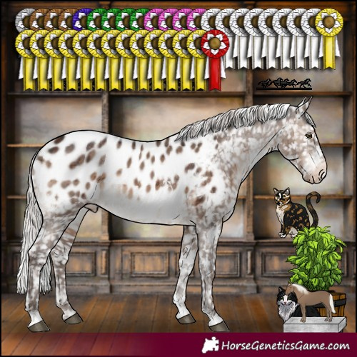 Horse Color:White Spotted Silver Brown Dun Mushroom Tobiano Appaloosa Brindle 