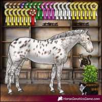Horse Color:White Spotted Silver Brown Dun Mushroom Tobiano Appaloosa Brindle 