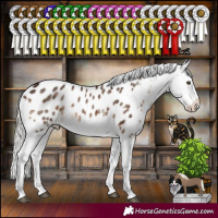 Horse Color:White Spotted Silver Brown Dun Mushroom Tobiano Appaloosa Brindle 