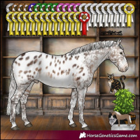 Horse Color:White Spotted Silver Brown Dun Mushroom Tobiano Appaloosa Brindle 