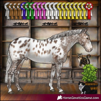 Horse Color:White Spotted Silver Brown Dun Mushroom Tobiano Appaloosa Brindle 