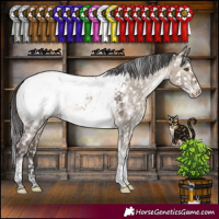 Horse Color:Brown Dun Mushroom Sabino Tobiano Appaloosa