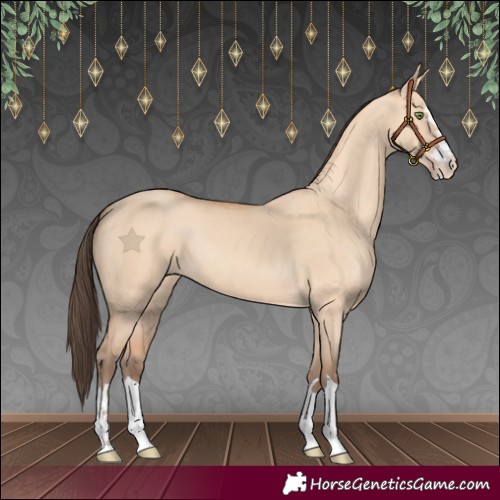 Horse Color:Amber Champagne Dun 