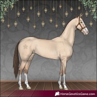 Horse Color:Amber Champagne Dun 
